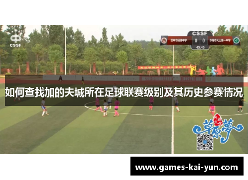 如何查找加的夫城所在足球联赛级别及其历史参赛情况 如何查找加的夫城所在足球联赛级别及其历史参赛情况