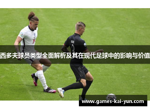 西多夫球员类型全面解析及其在现代足球中的影响与价值