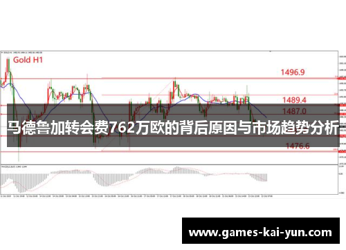 马德鲁加转会费762万欧的背后原因与市场趋势分析